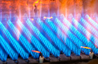 Ffridd gas fired boilers